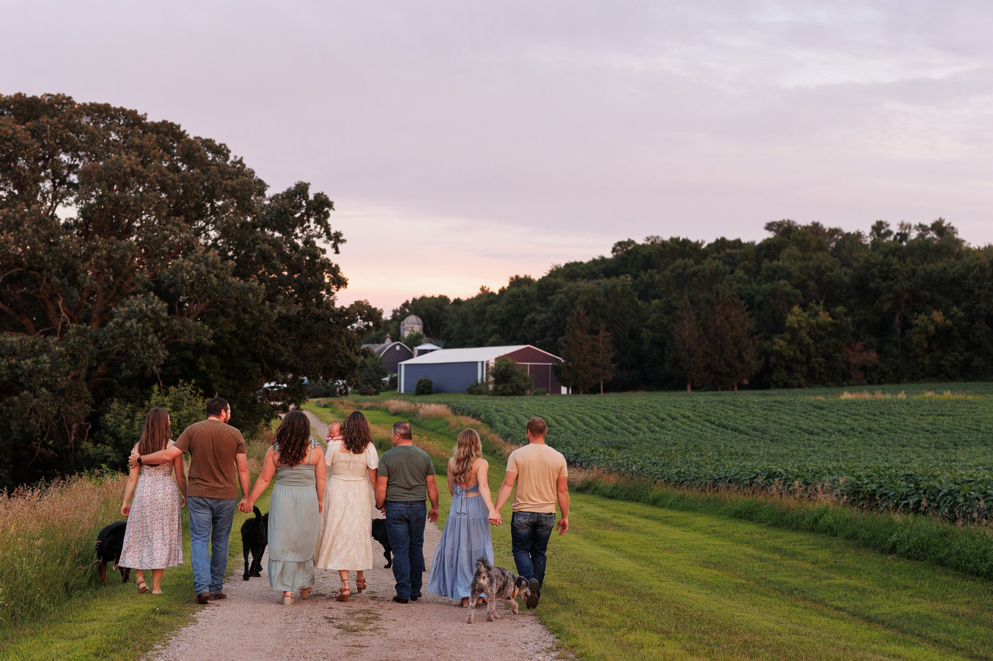 Three generations of a family walking down a country driveway with five dogs during an outdoor Minnesota extended family session.